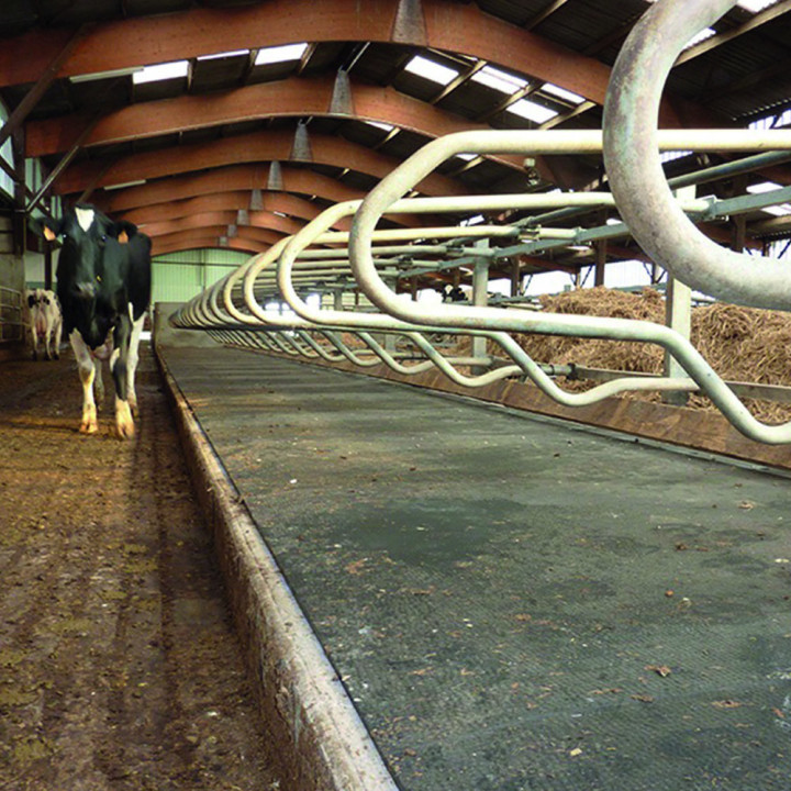 Tapis caoutchouc ultra-résistant revêtement sol Confort des animaux élevages, Bovins, Chevaux Solutions Élastomères 