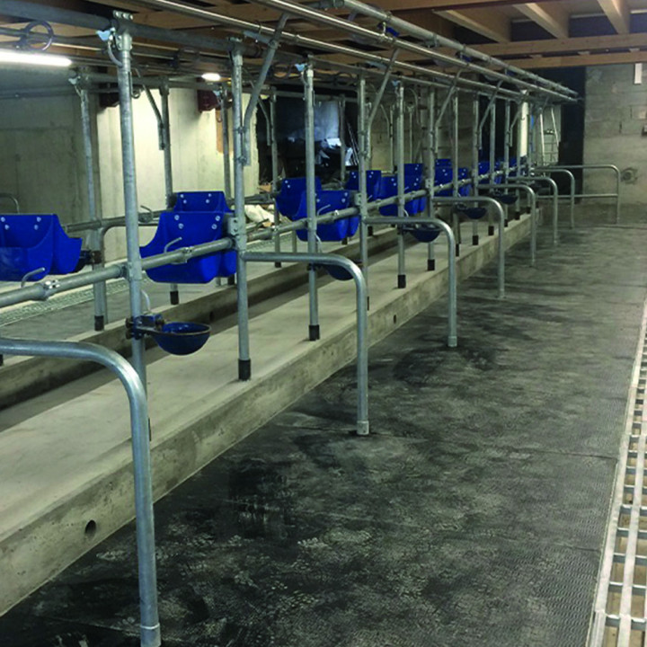 Rubber carpet for cowshed